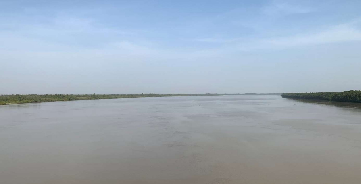 View from the Senegambia Bridge 